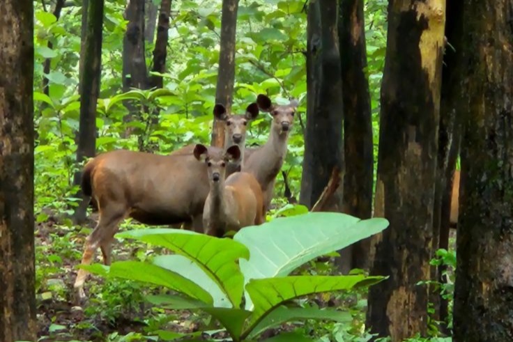 5N/6D Uttarakhand tour from Dehradun